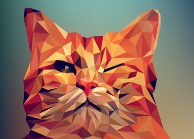 cat polygon