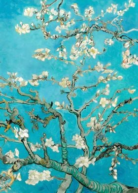 Van Gogh Almond Blossoms