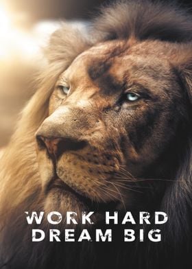 Work Hard Dream Big Lion