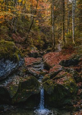 Autumn forest waterfall