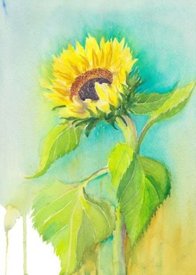 Sunflower watercolor