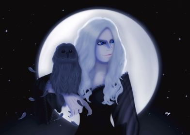 Witch And Her Owl