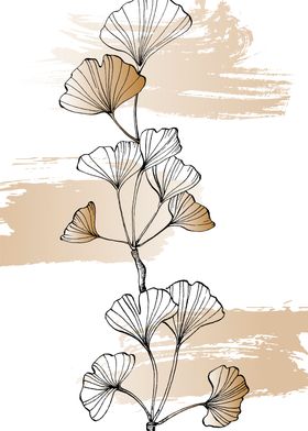 Ginkgo Sketch 