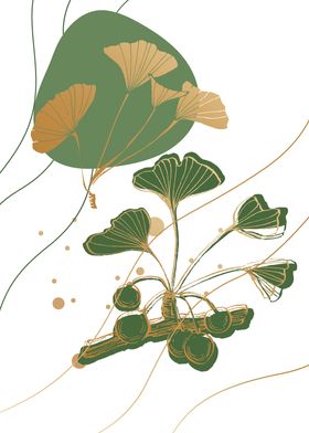 Ginkgo