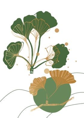 Ginkgo Sketch 