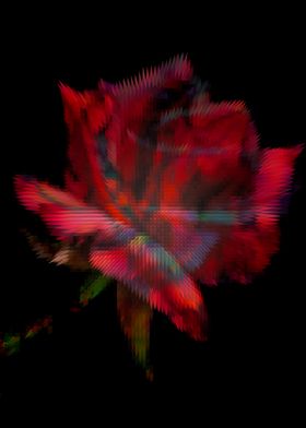 Red digital rose