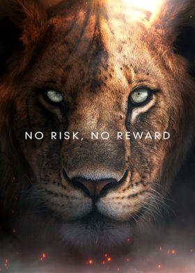 No Risk No Reward