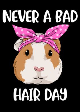 Bad Hair Day Guinea Pig