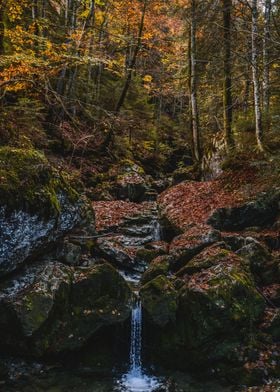 Autumn forest waterfall