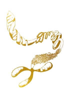 DNA Chromosome Genetics