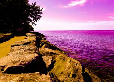 Lake Ontario but Purple