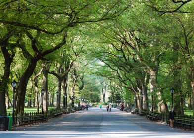 Central Park New York