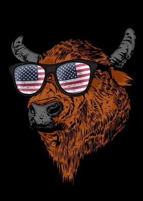 Buffalo America USA Bison