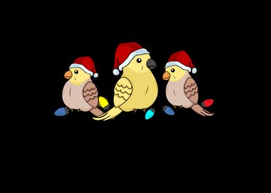 Christmas Cockatiel Birds