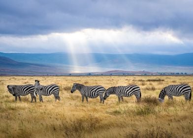 Arusha Region Tanzania