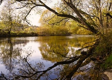 Along the river