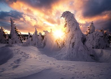 Snow giants