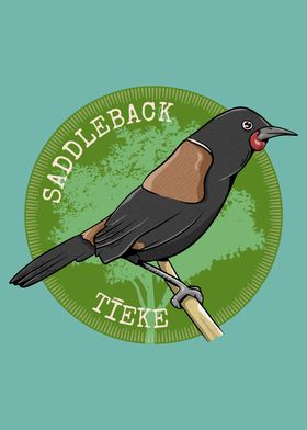 Saddleback NZ bird