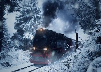 Winter Train