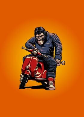 The gorilla and scooter