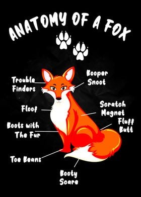 Anatomy of a Fox