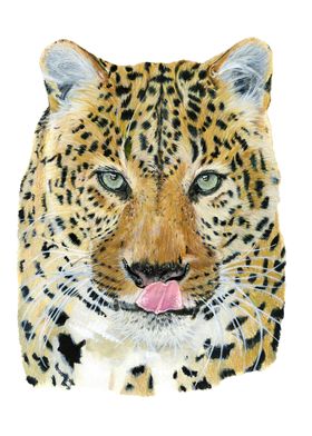 Leopard watercolor