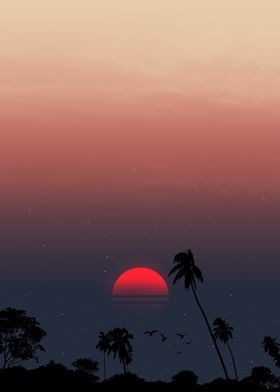 sunset palm