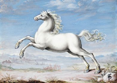 White horse 1552