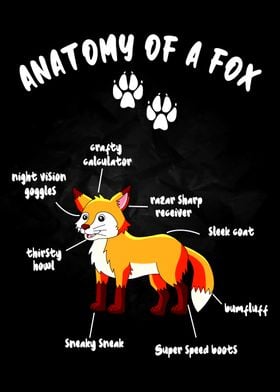 Anatomy of a Fox