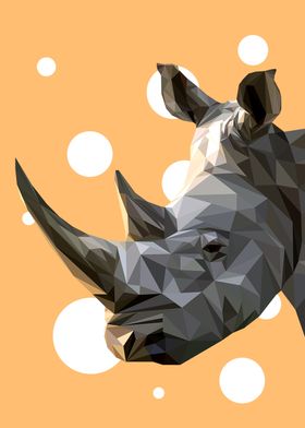 Rhino