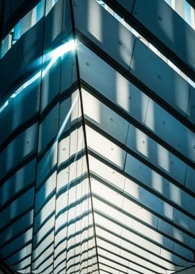 Roof Reflections