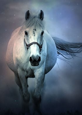 White Horse