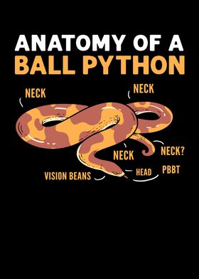 'Anatomy Of A Ball Python' Poster by Fabian El Matador | Displate