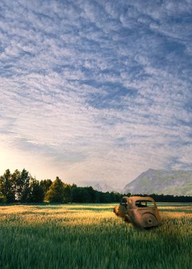 Car Wreck Fields