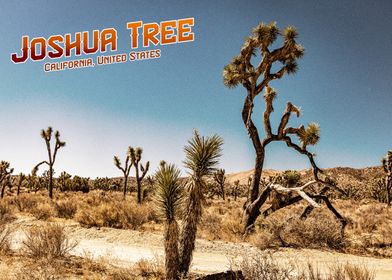 Joshua Tree National Park