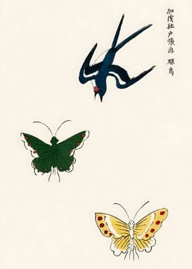 Swallow and Butterfly