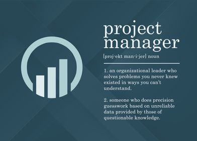 Project Manager Definition