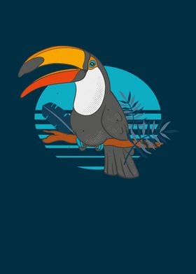 Toucan Bird Tropical