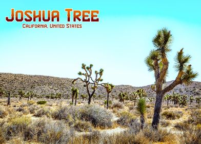 Joshua Tree National Park