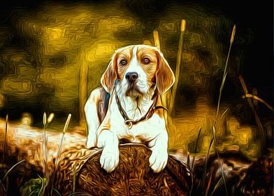 Beagle