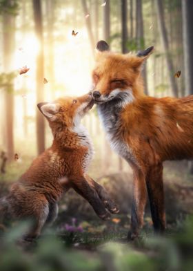 Magical Foxes