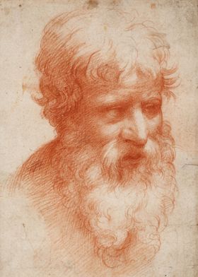 Head of a Bearded Man