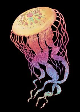 Colorful Jellyfish