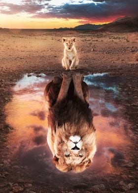Lion Animal King