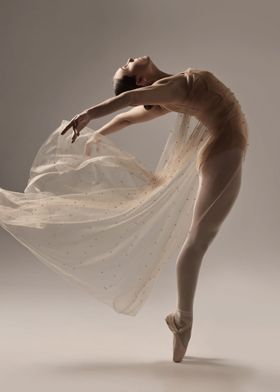 Ballet and dancing 93