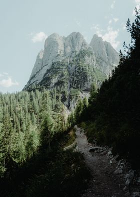 Mountain trail