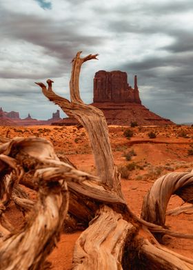 West Mitten and a Tree