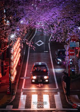 Tokyo Japan