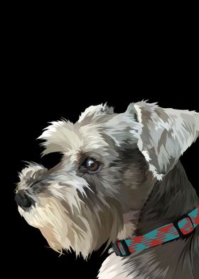 Schnauzer dog in vector