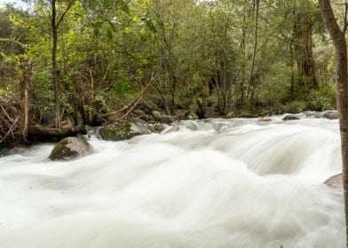 Flowing Water